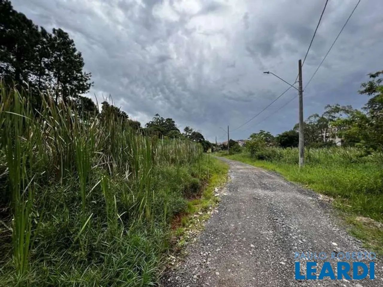 AREA - CHÁCARA SANTA LÚCIA - SP - Foto 4