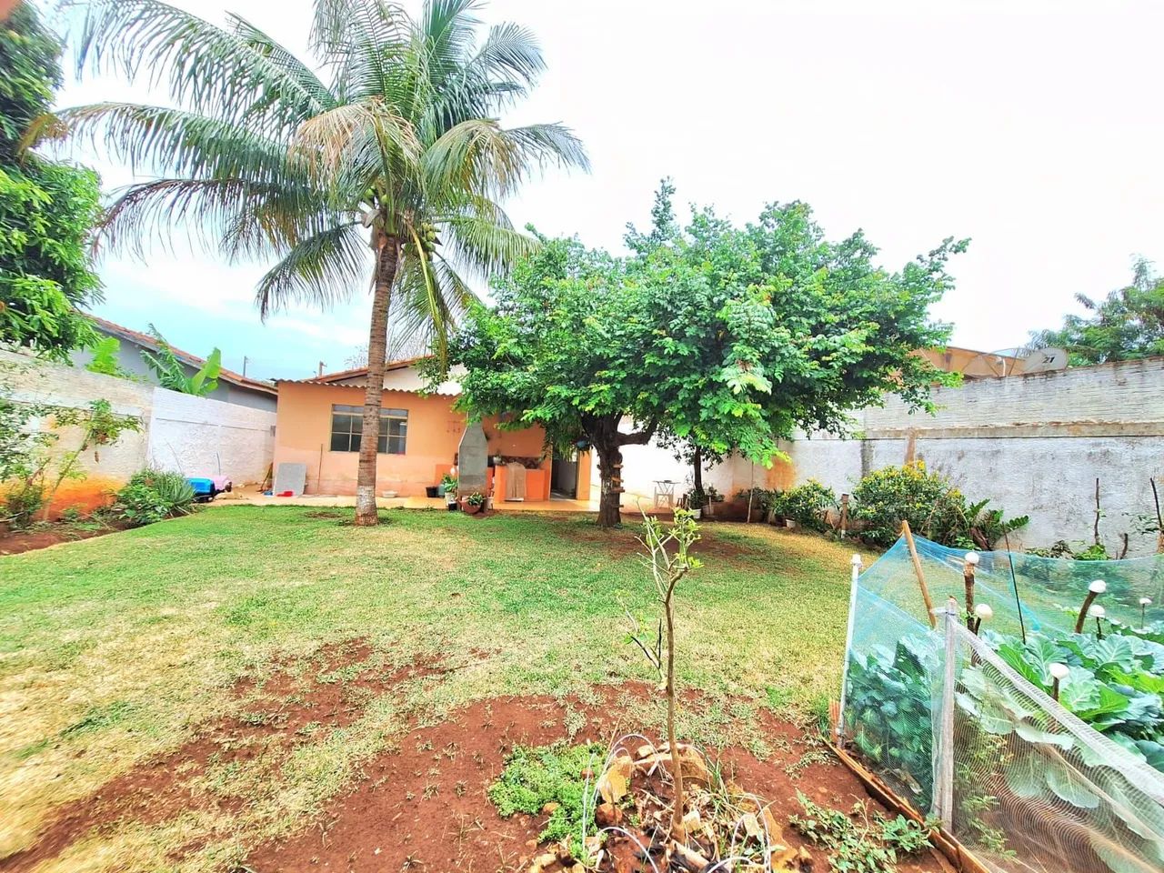 Foto - Campo Grande - Vila Nasser