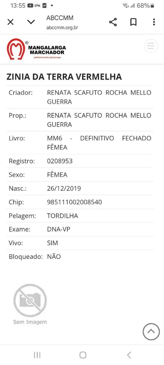 Vendo Egua MM  - Foto 3