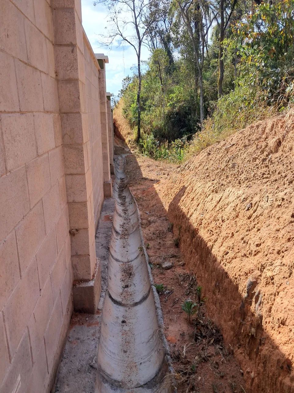 Jardinagem em geral - Foto 4