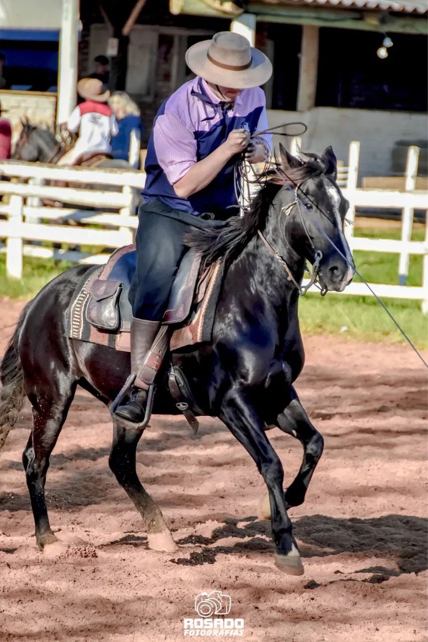 Égua Preta, Confirmada, Máquina! - Foto 2