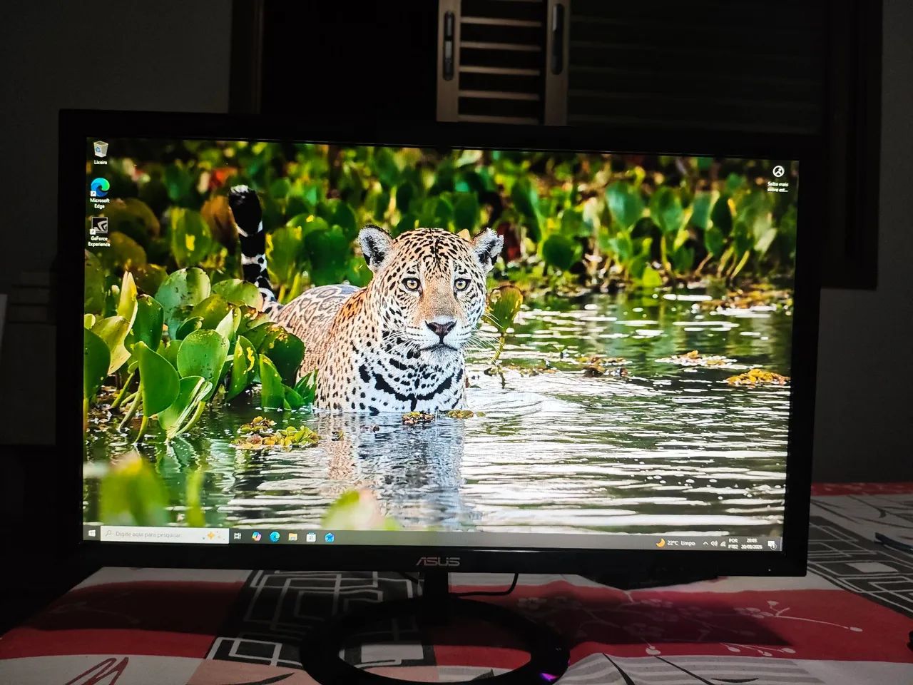 Monitor gamer Asus Led 1ms