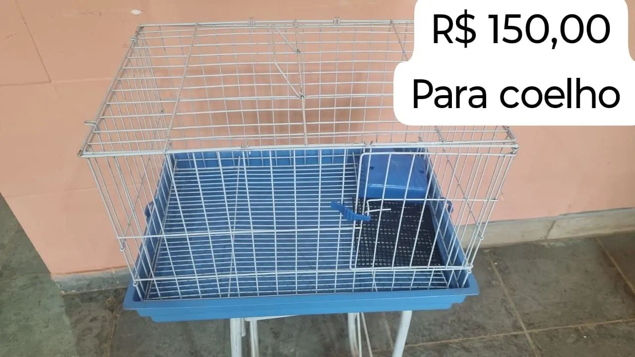 Gaiolas 65579489608323123