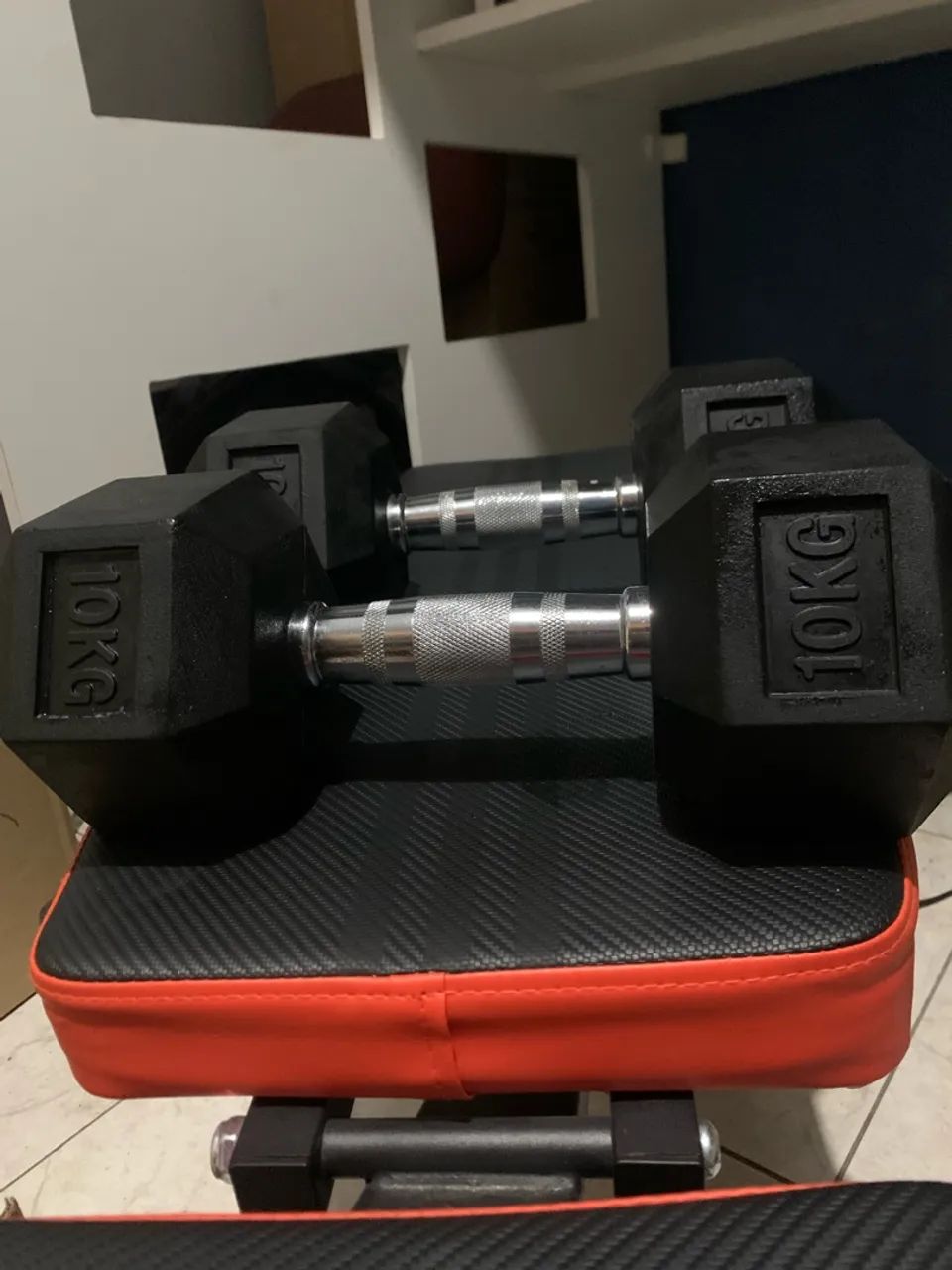 Halter 10kg 