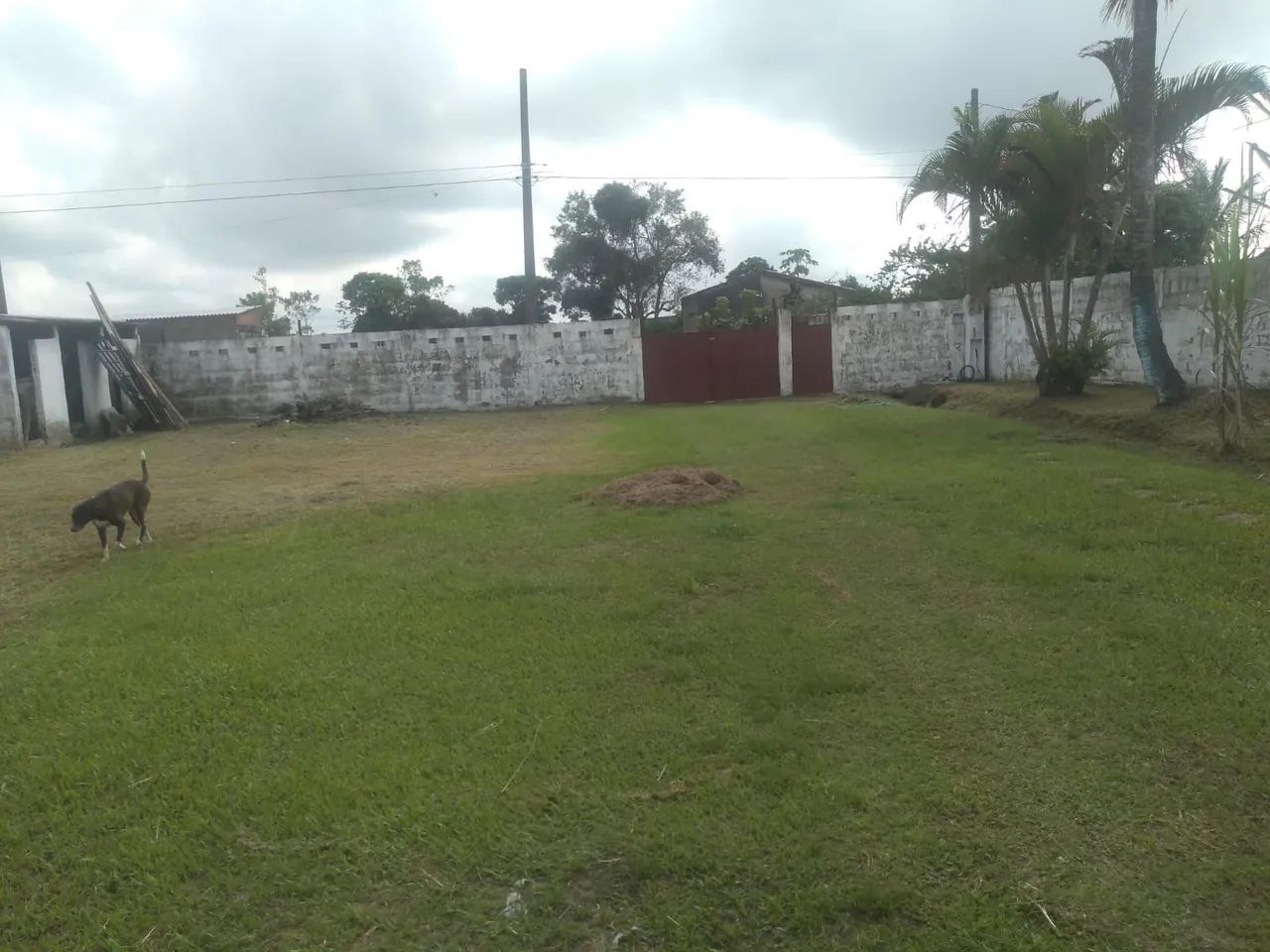 Foto - Itanhaém - 