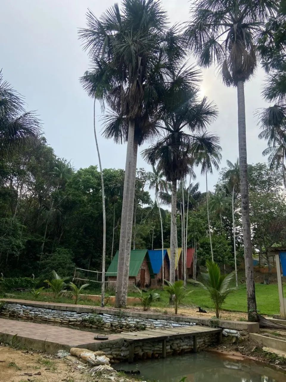 Foto - Manaus - Nova Esperança