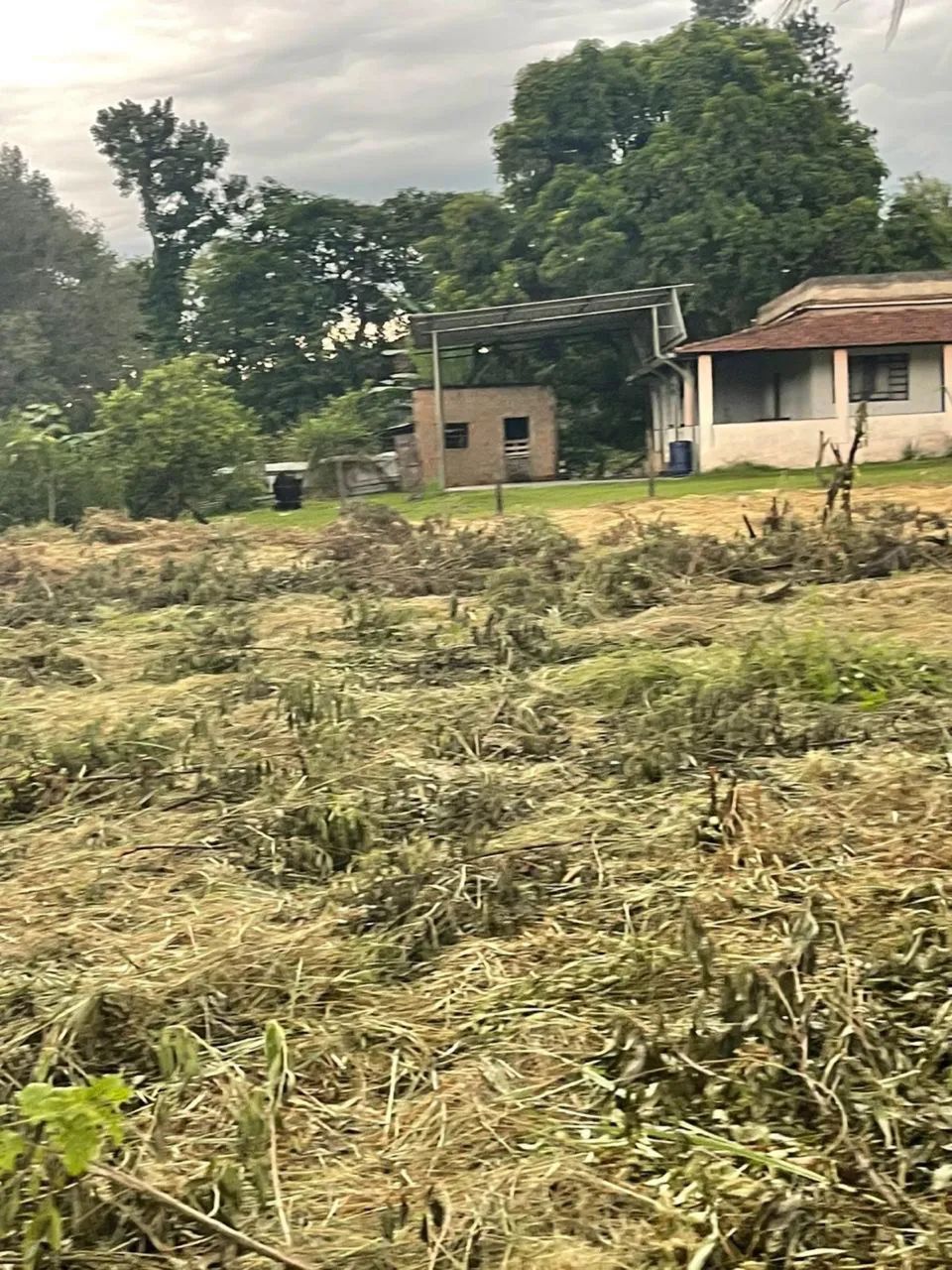 Terreno na Beira da Dutra - Foto 2