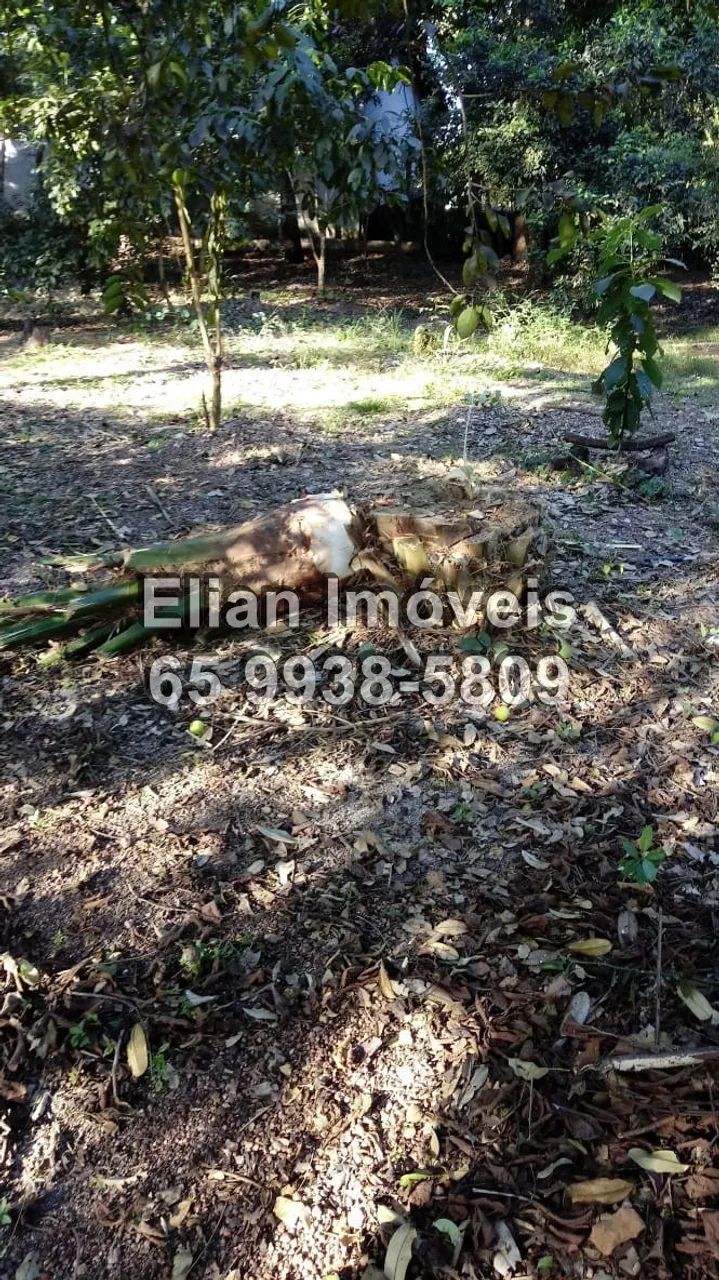Chácara com piscina Santo Antônio de Leverger - Foto 4