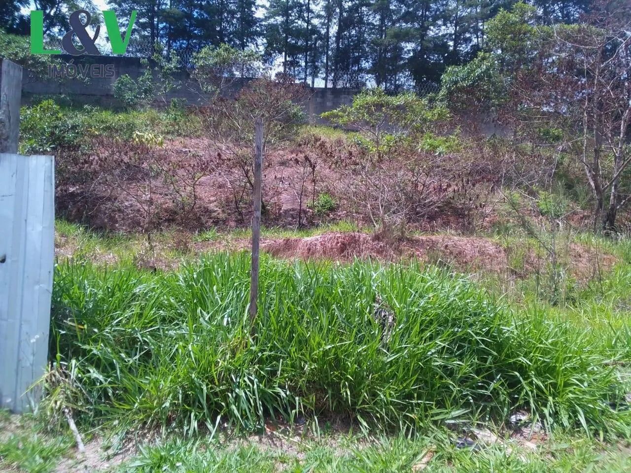 Lindo terreno no bairro Quinta das Videiras - Foto 2