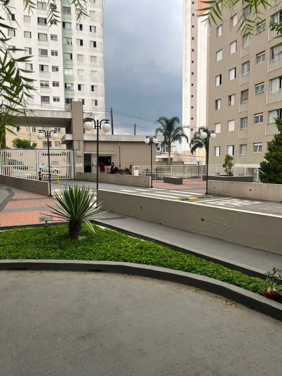 Foto - Diadema - Canhema