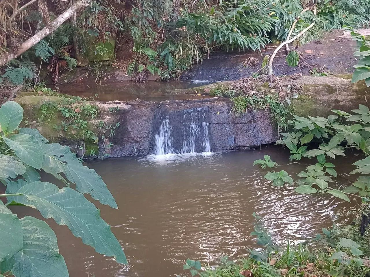 oportunidade sitio com cachoeira em natividade da serra - Foto 3