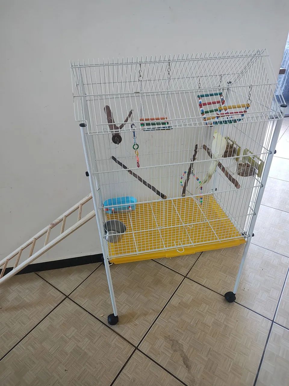 Gaiola espaçosa completa  - Foto 4