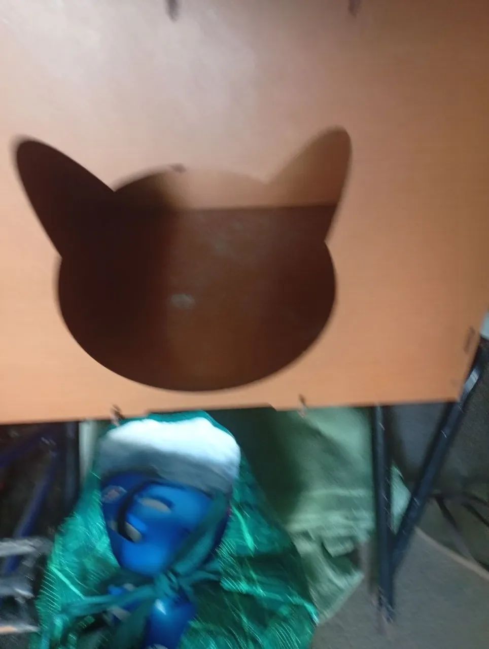 Casa pra gato ? - Foto 3