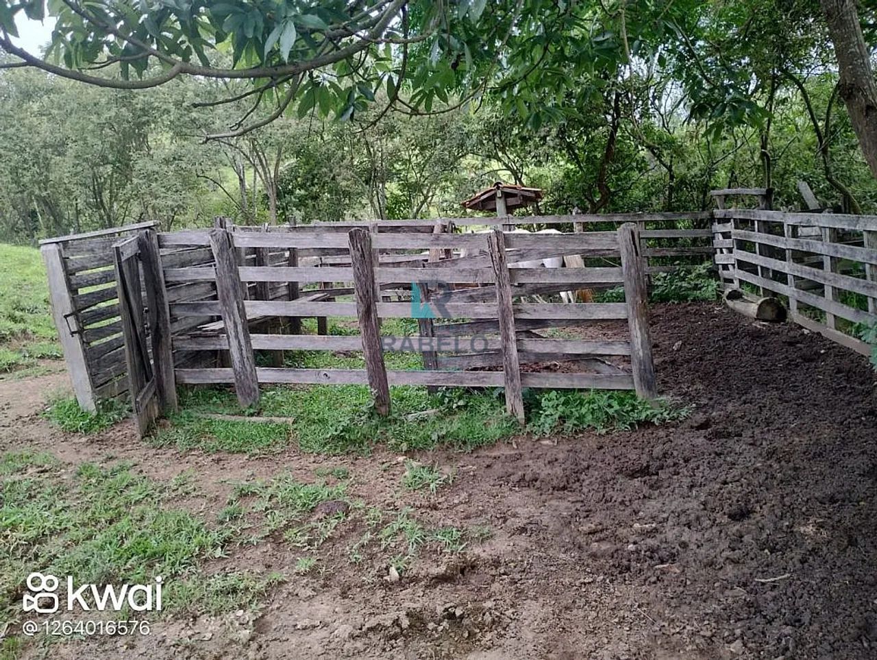 SÍTIO FORMADO COM 7 HECTARES EM CUNHA-SP - Foto 4