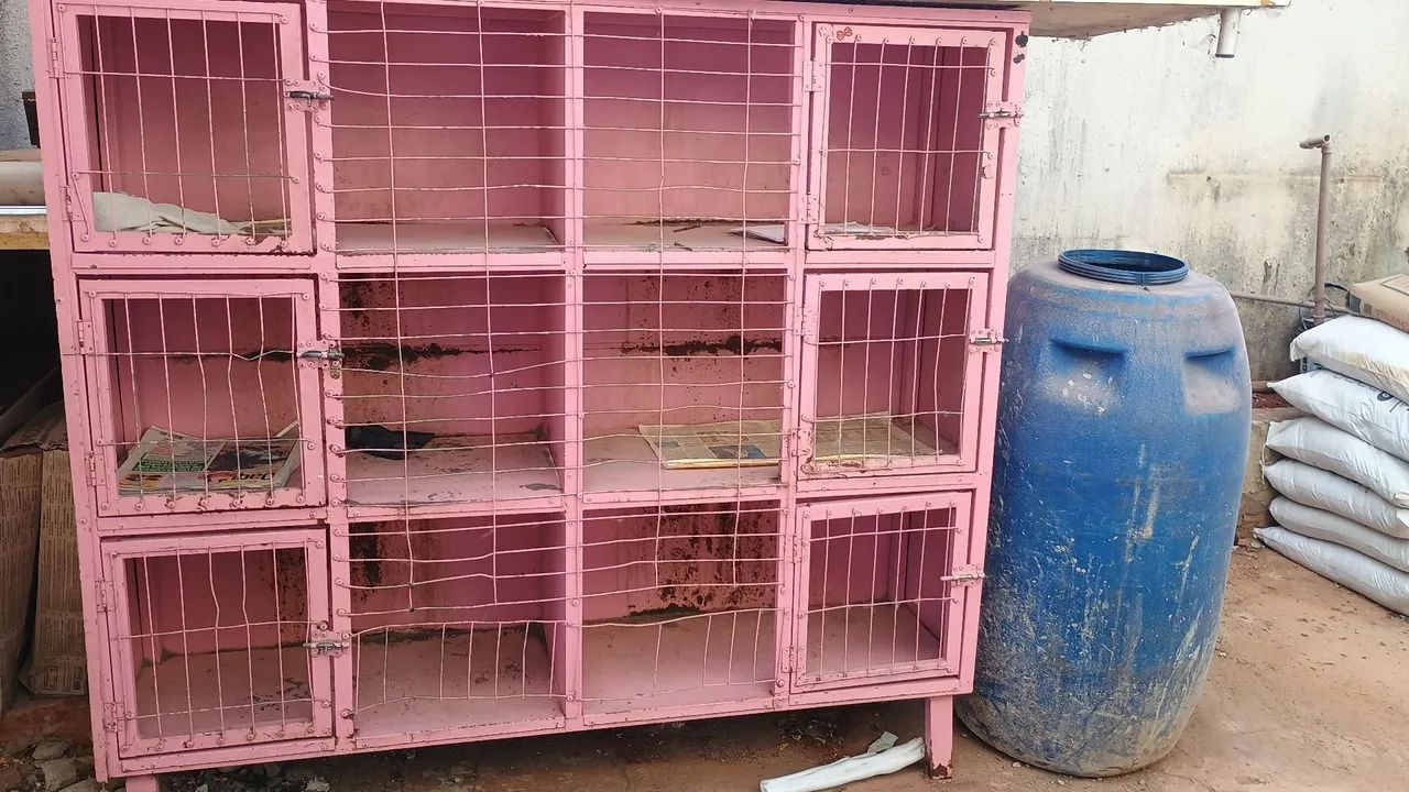 Oportunidade para quem quer começar seu banho e tosa, gaiolas super reforçadas  - Foto 2