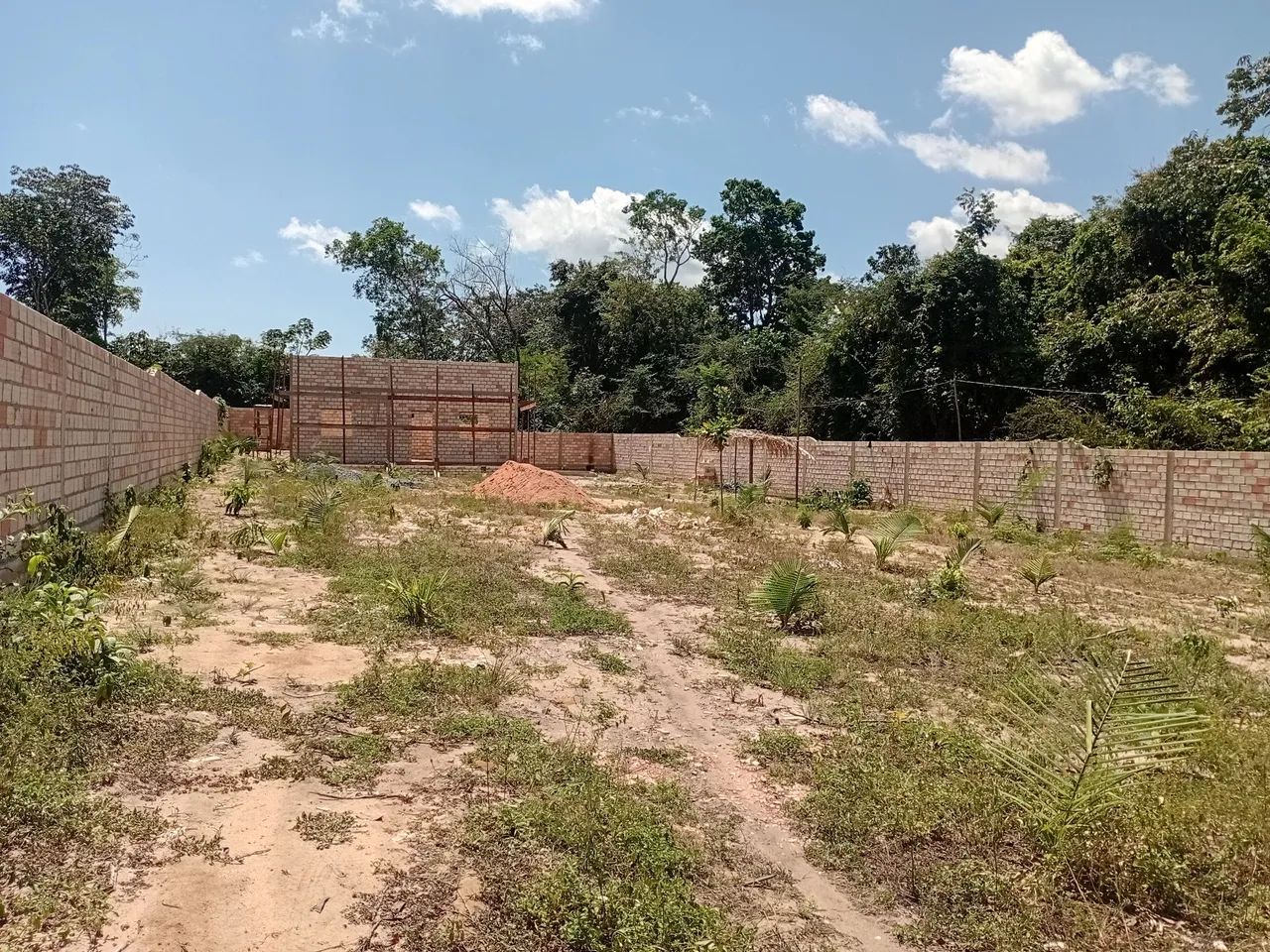 Terreno em alter do chão 10×50 - Foto 5