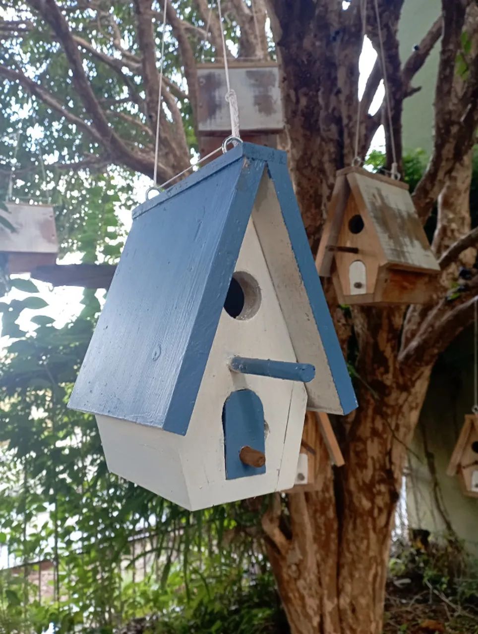 casa/ninho para curuira - Foto 3