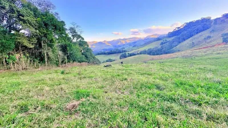 Belíssimo terreno em Cambui - Foto 2
