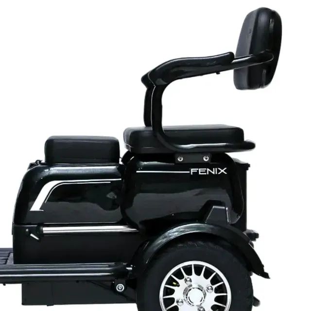 Triciclo Elétrico 750W, Aro 8", Dois Assentos Cadeiras Ré Alarme Bagageiro Fenix Preto  - Foto 4