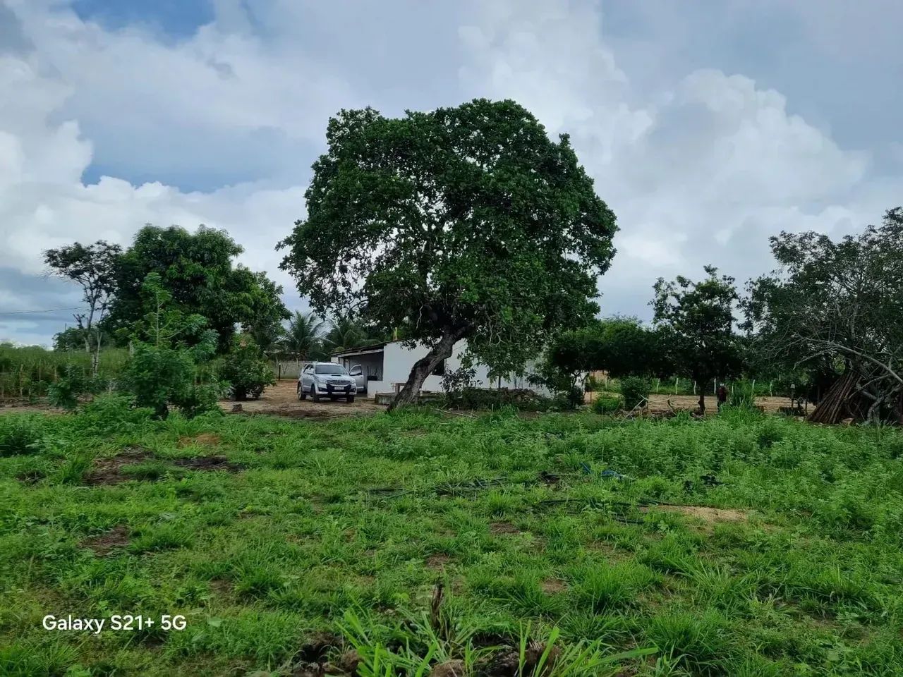 Ganja com 8.57 hectares na região de Macaíba - Foto 4