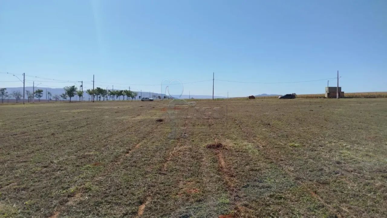 Terreno de 2.000m² em Delfinópolis - Foto 5