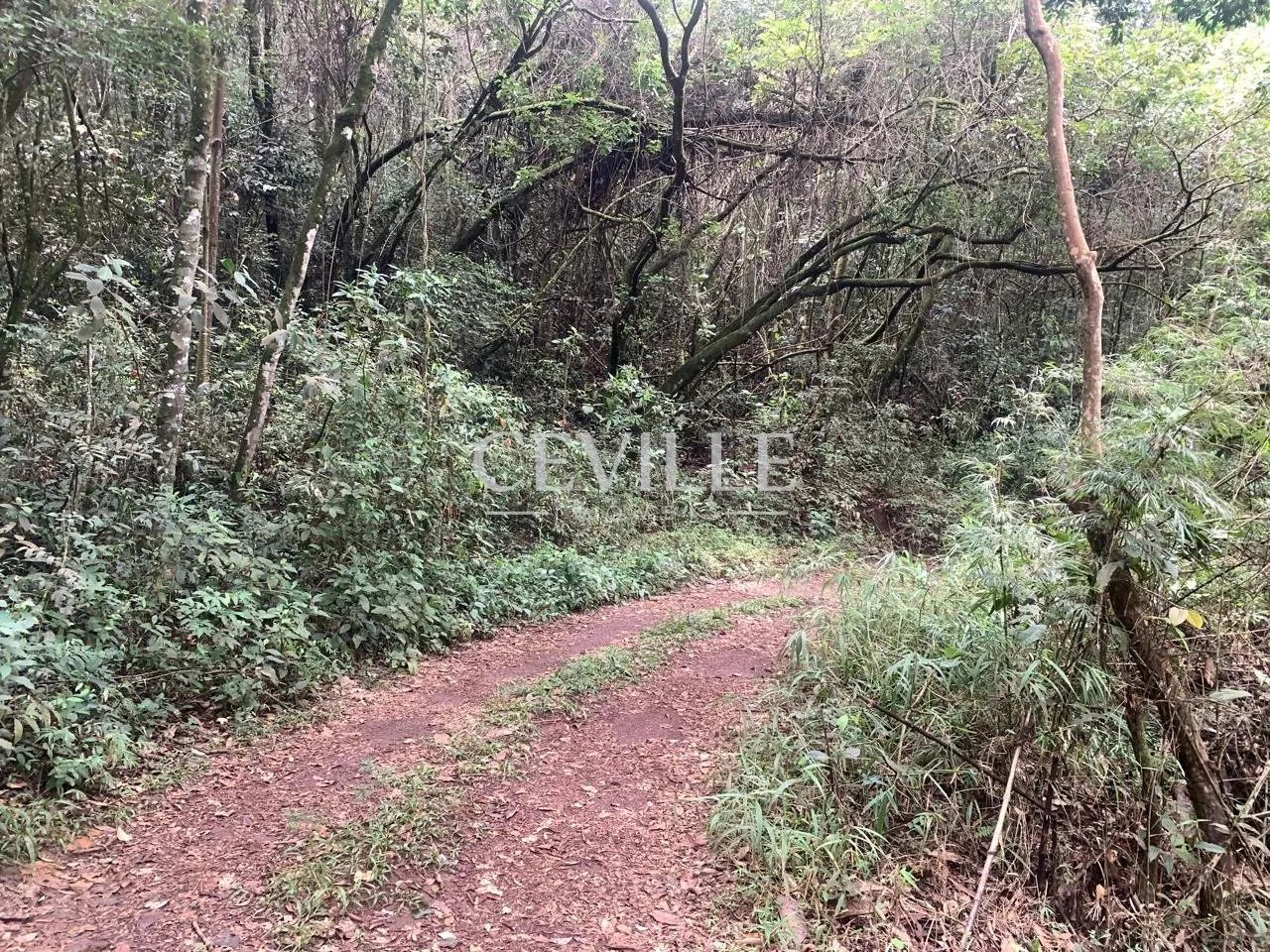 oportunidade de sitio a venda - Foto 12