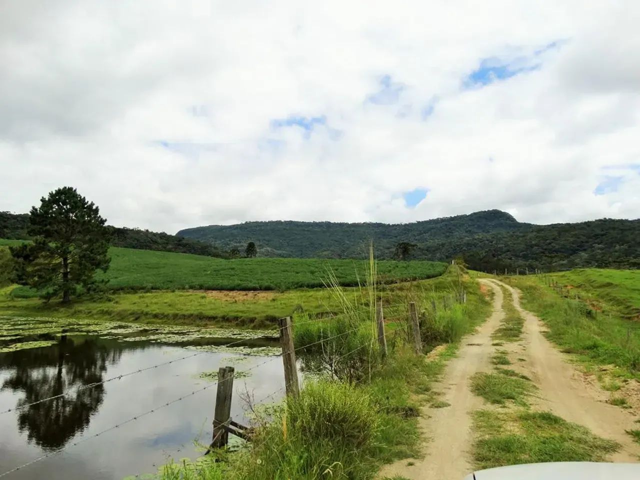 Fazenda com 320 hectares - Bom Retiro - Serra Catarinense - Foto 4