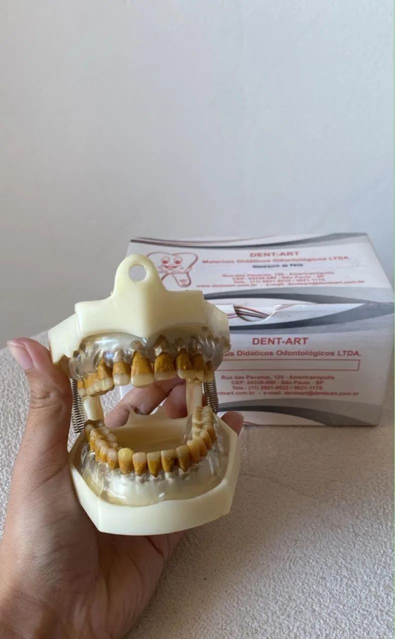 Manequim de periodontia