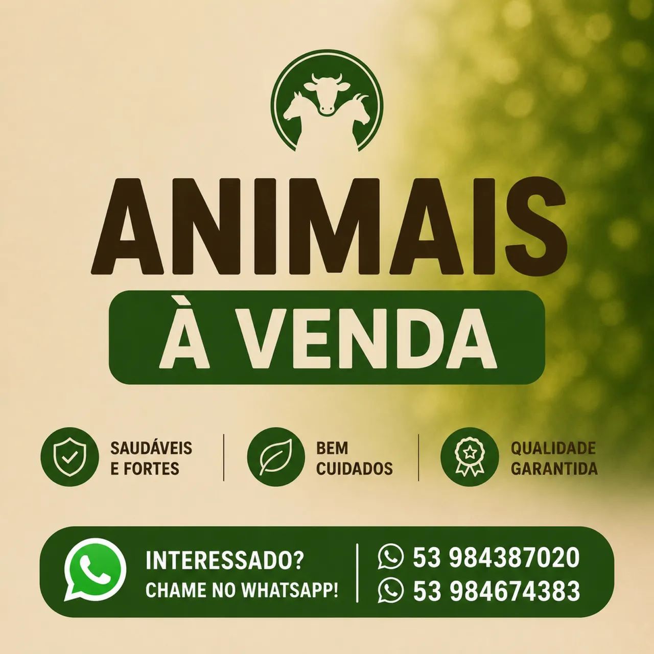 Vende mini animais 