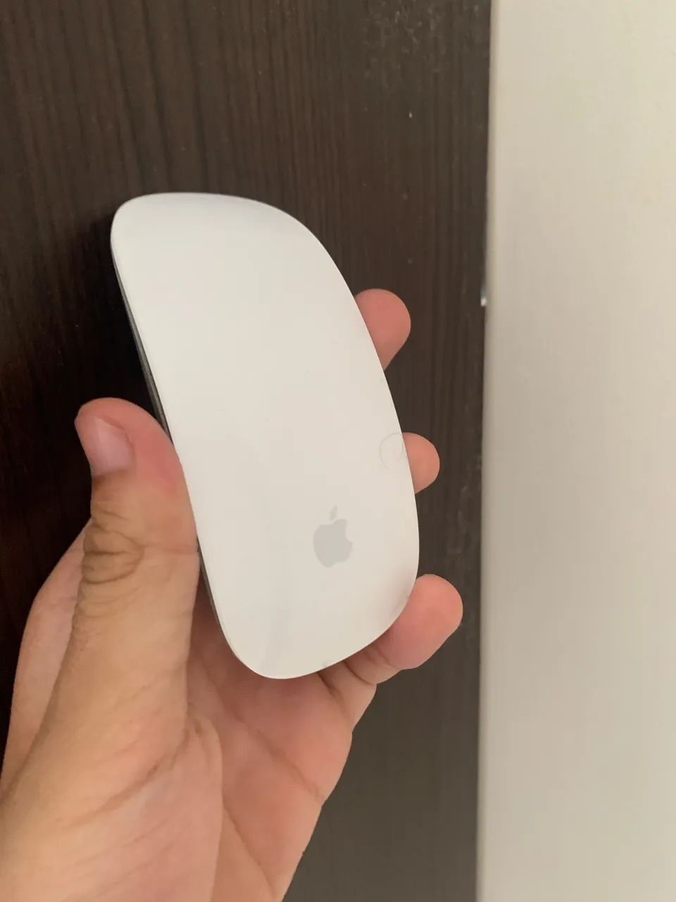 Magic Mouse Apple 