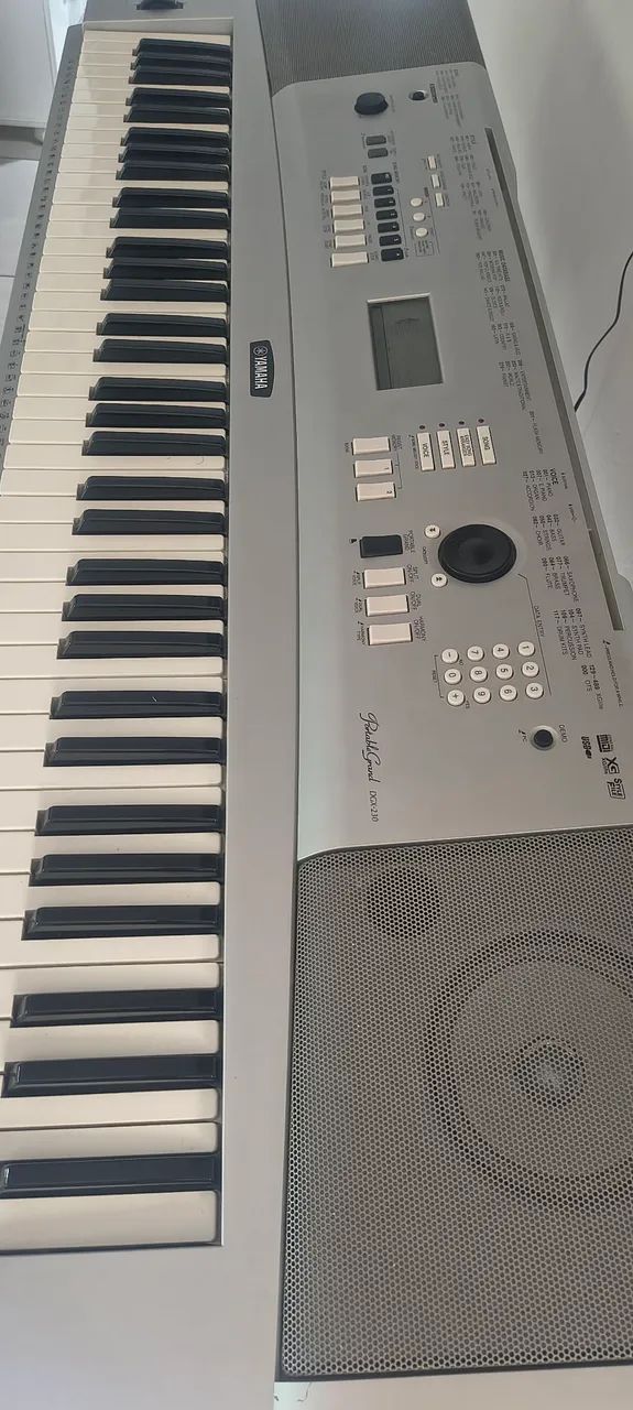 Teclado DGX 230