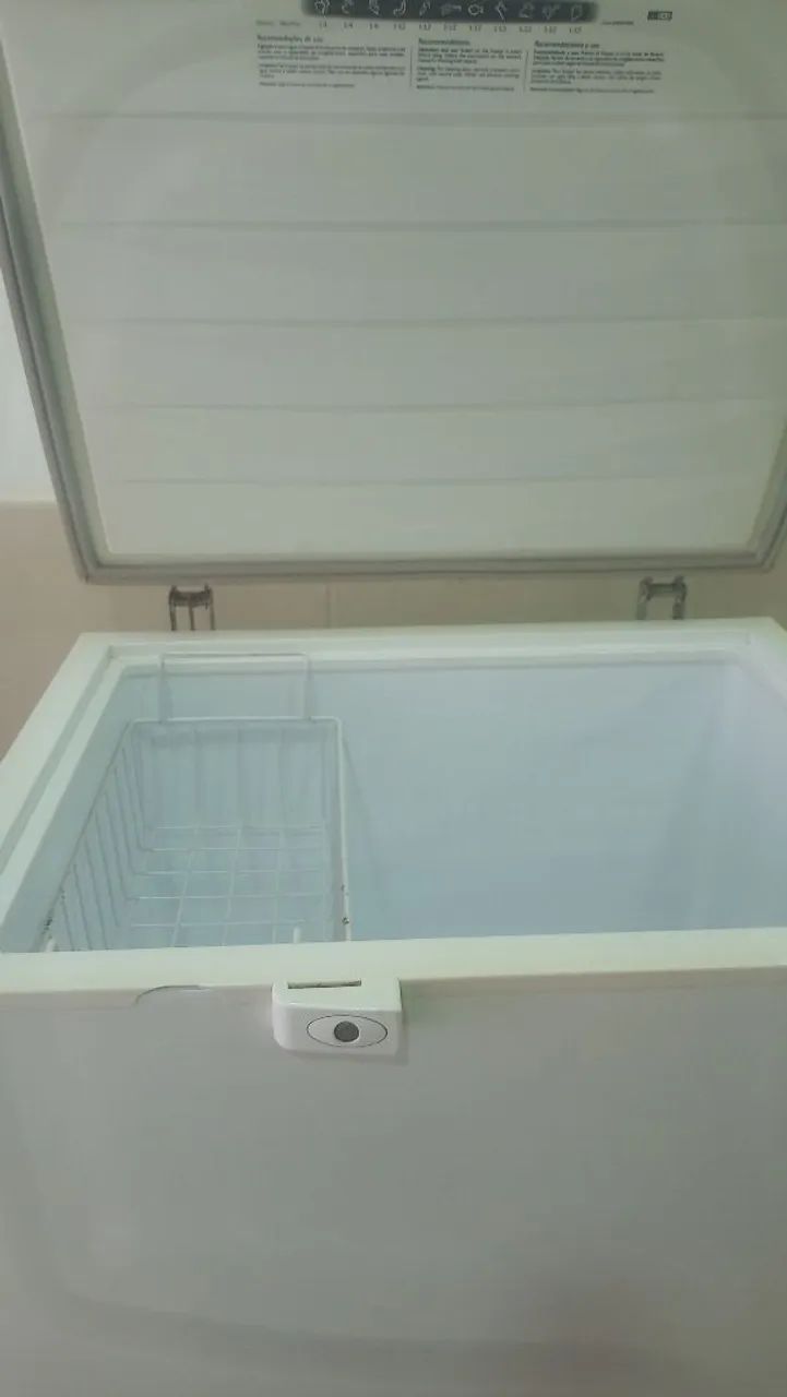 Freezer Eletrolux 309 litros - Foto 2