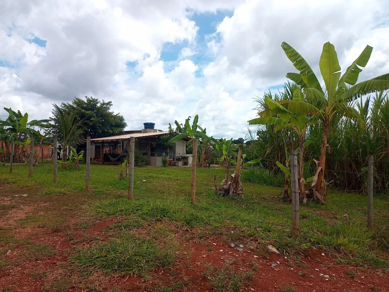 Foto - Igarapé - 