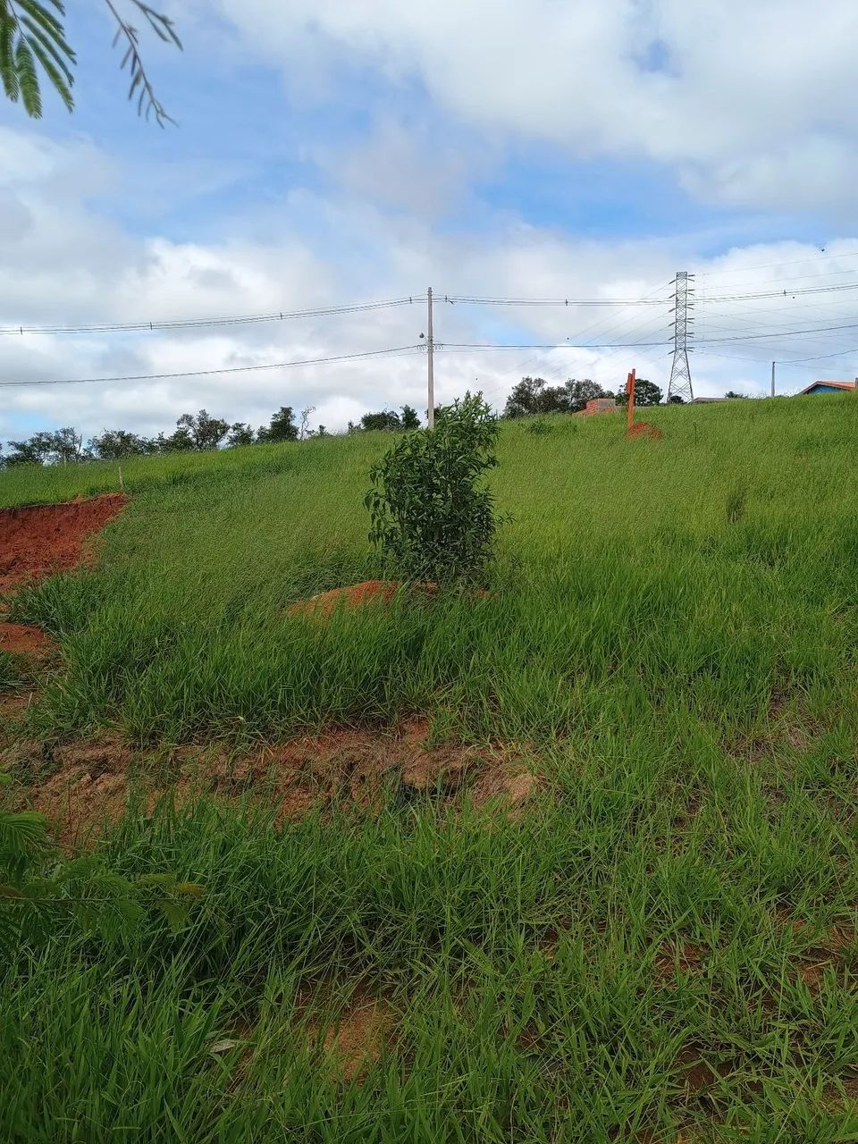 Venda - Foto 3