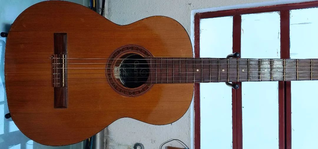 Violão Giannini estudo  - Foto 5