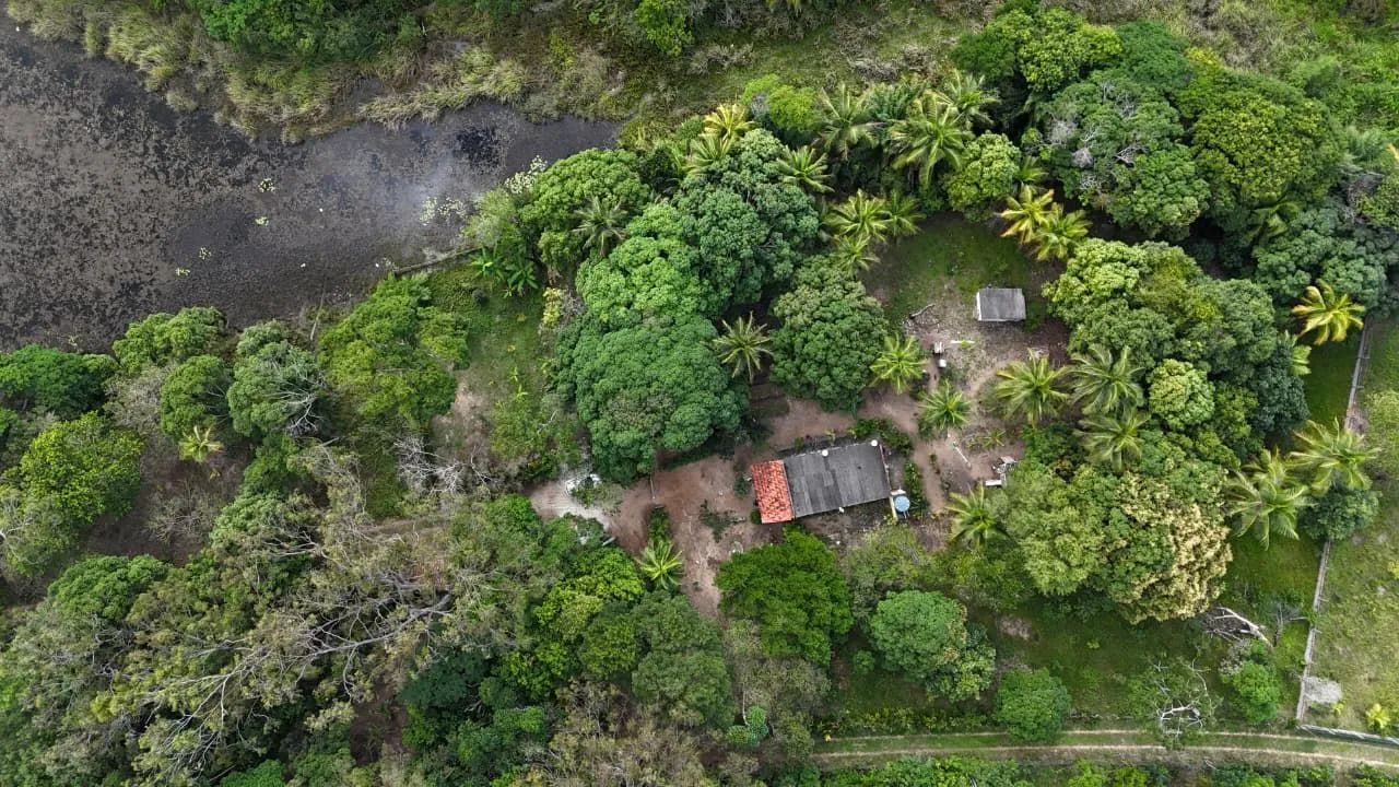 Venda de sitio - Foto 5