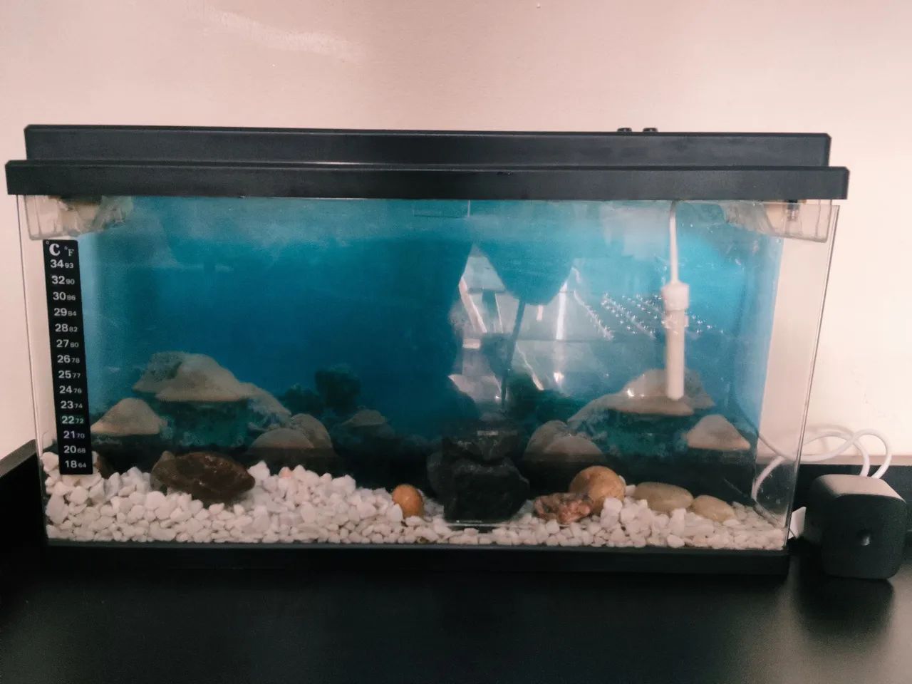 Aquário para peixe beta com termostato e termômetro  - Foto 3