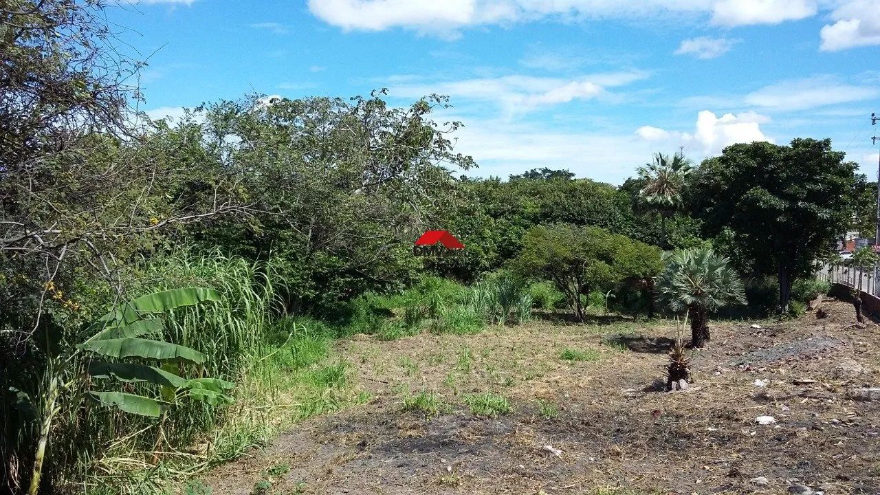 Terreno em ótima localização da BR -116 - Foto 4