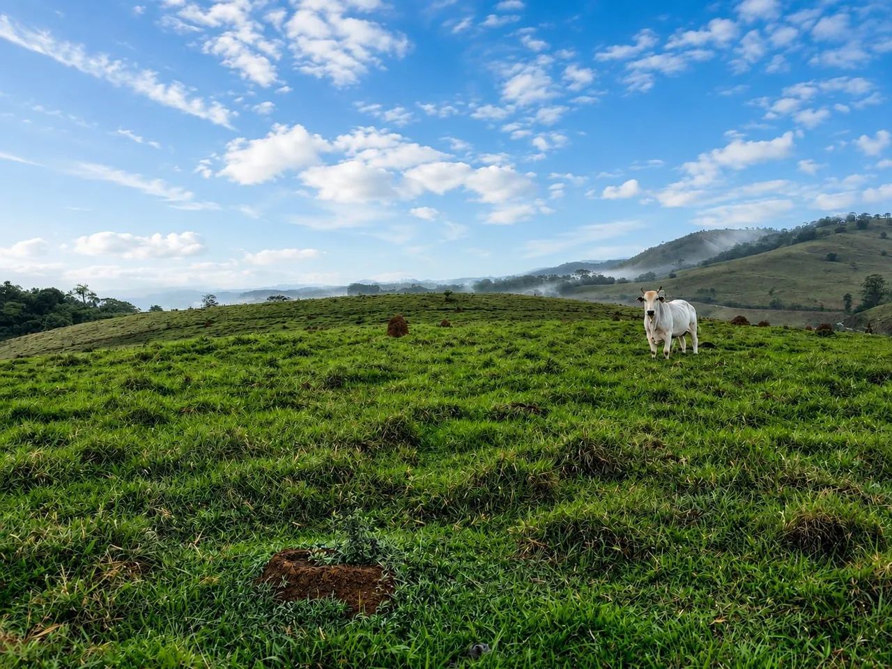 Excelente Terreno em Paraibuna com acesso a Represa   - Foto 3