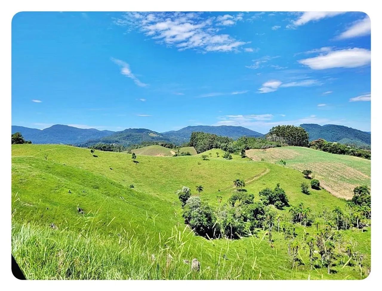Terreno Rural à venda, 236000 m² em São Bonifácio/SC