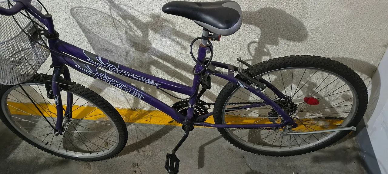 Bicicleta Fischer lilás 