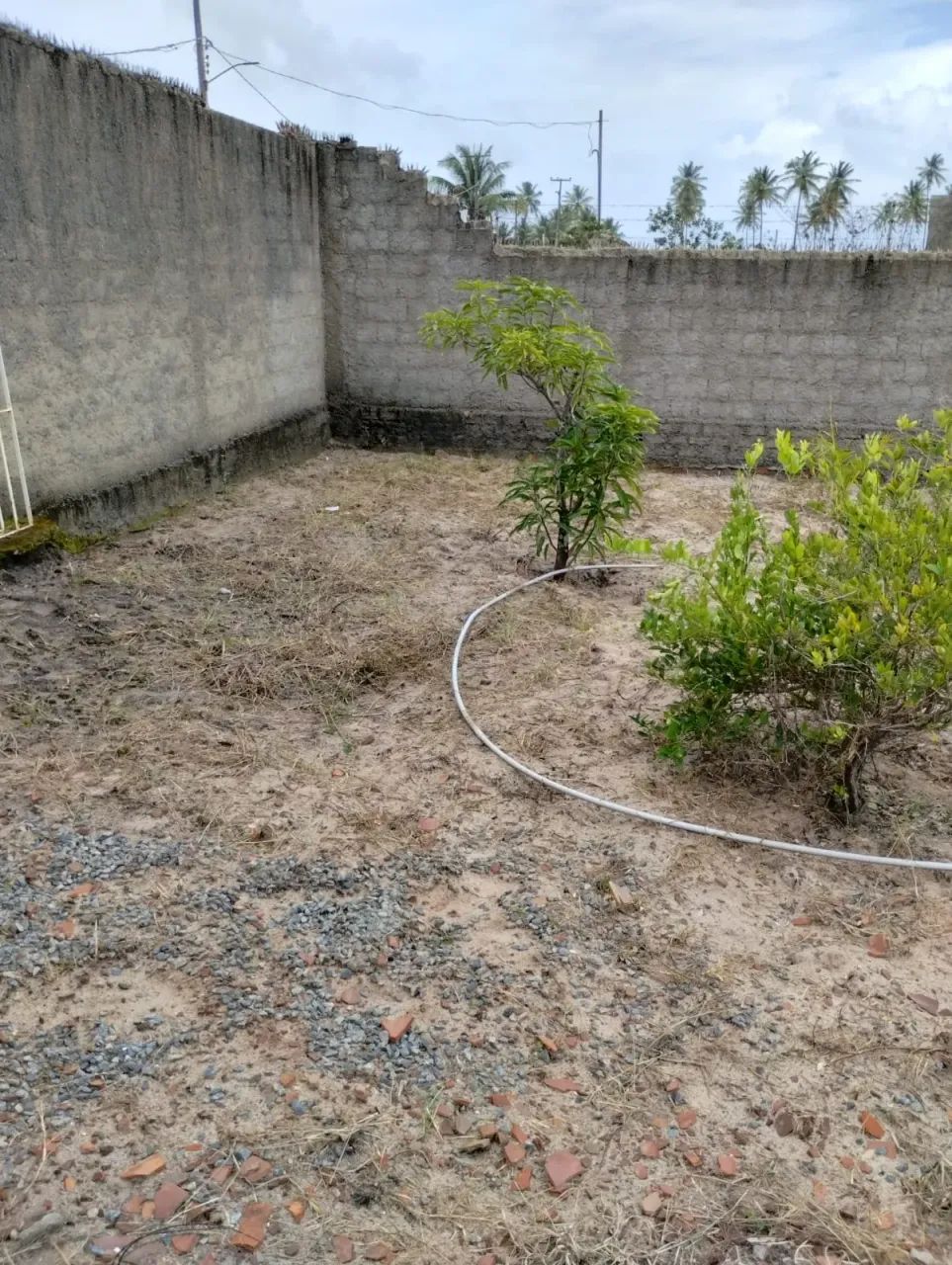 Terreno em Sirinhaém - perto da beira mar - Oportunidade!! - Foto 3