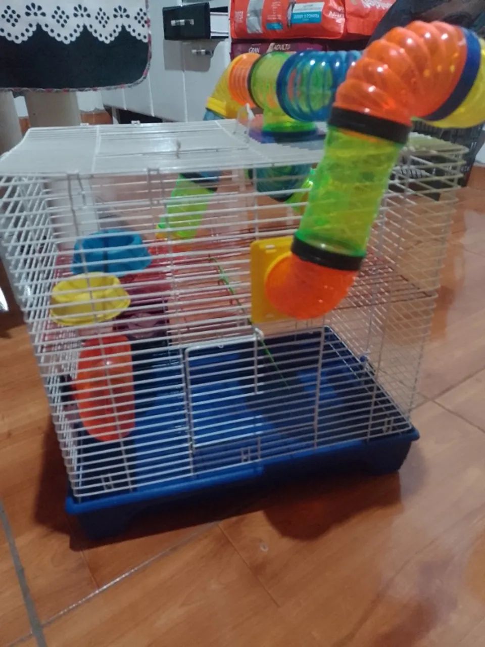Gaiola para roedor65048999718401120