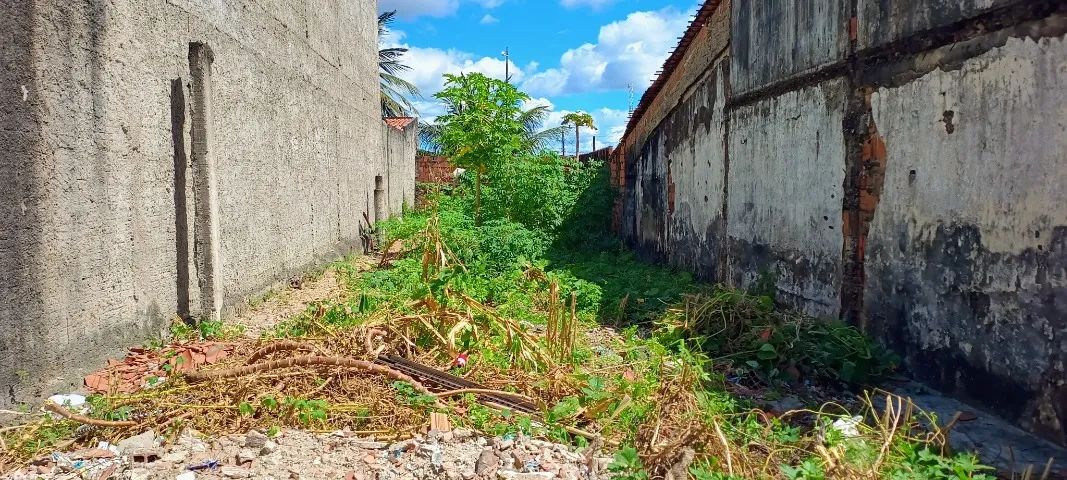 Terreno  - Foto 4