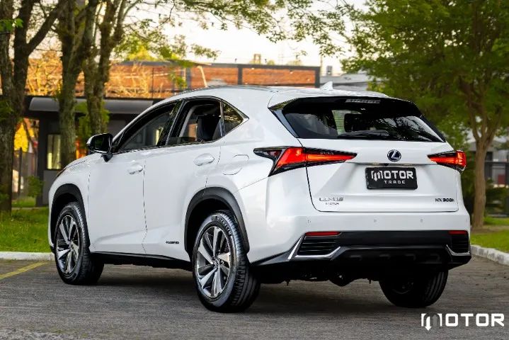 Lexus NX-300 H Luxury 2.5 16V Aut., foto 6 de 20