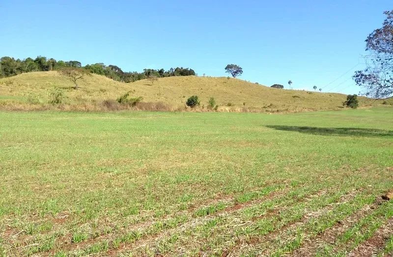 PLANTIO - PECUÁRIA - Área Rural 139 Alqueires - Foto 4