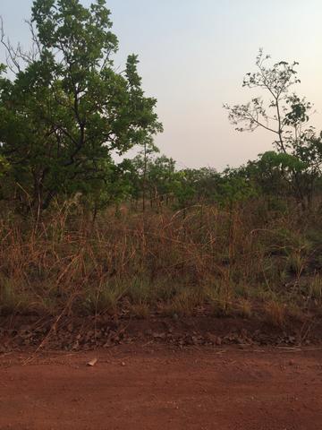 Terreno - Foto 2