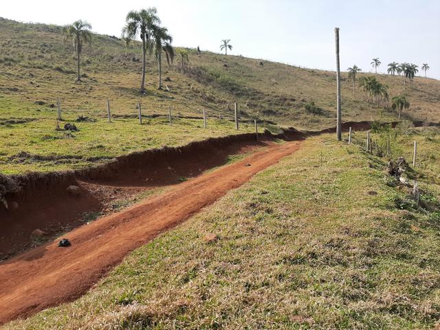 Chácara de 23.5 Alqueires com 22.5 alqueires de pasto - Faxinal do Céu. Pinhão- PR - Foto 16