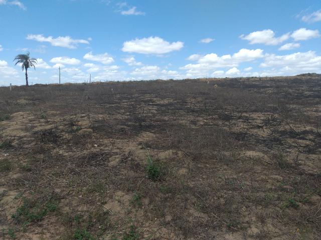 Terreno próximo ao Antonio cordeiro - Foto 5