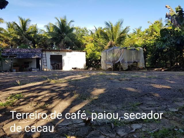 Sítio em Colatina na ES 248 na beira do Rio Doce - Foto 8